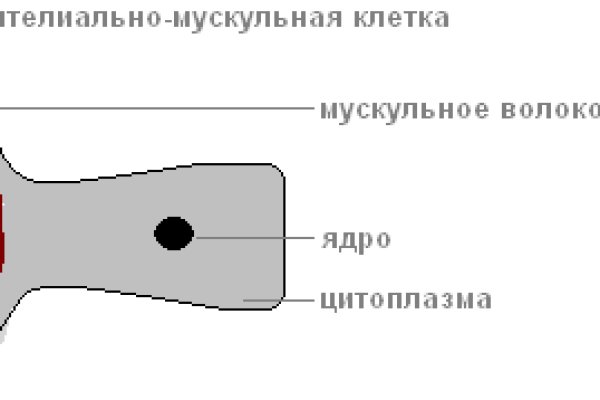 Ссылка на кракен в тор