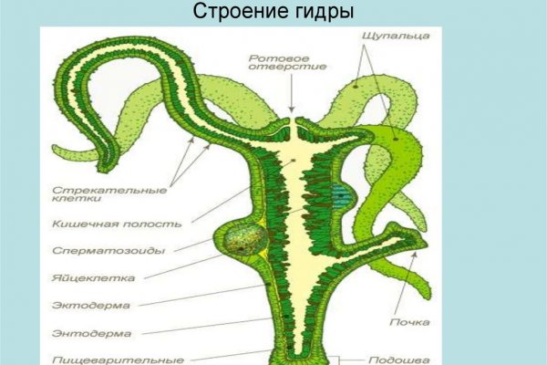 Кракен шоп зеркало