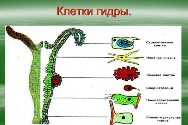 Дарк маркетплейс кракен